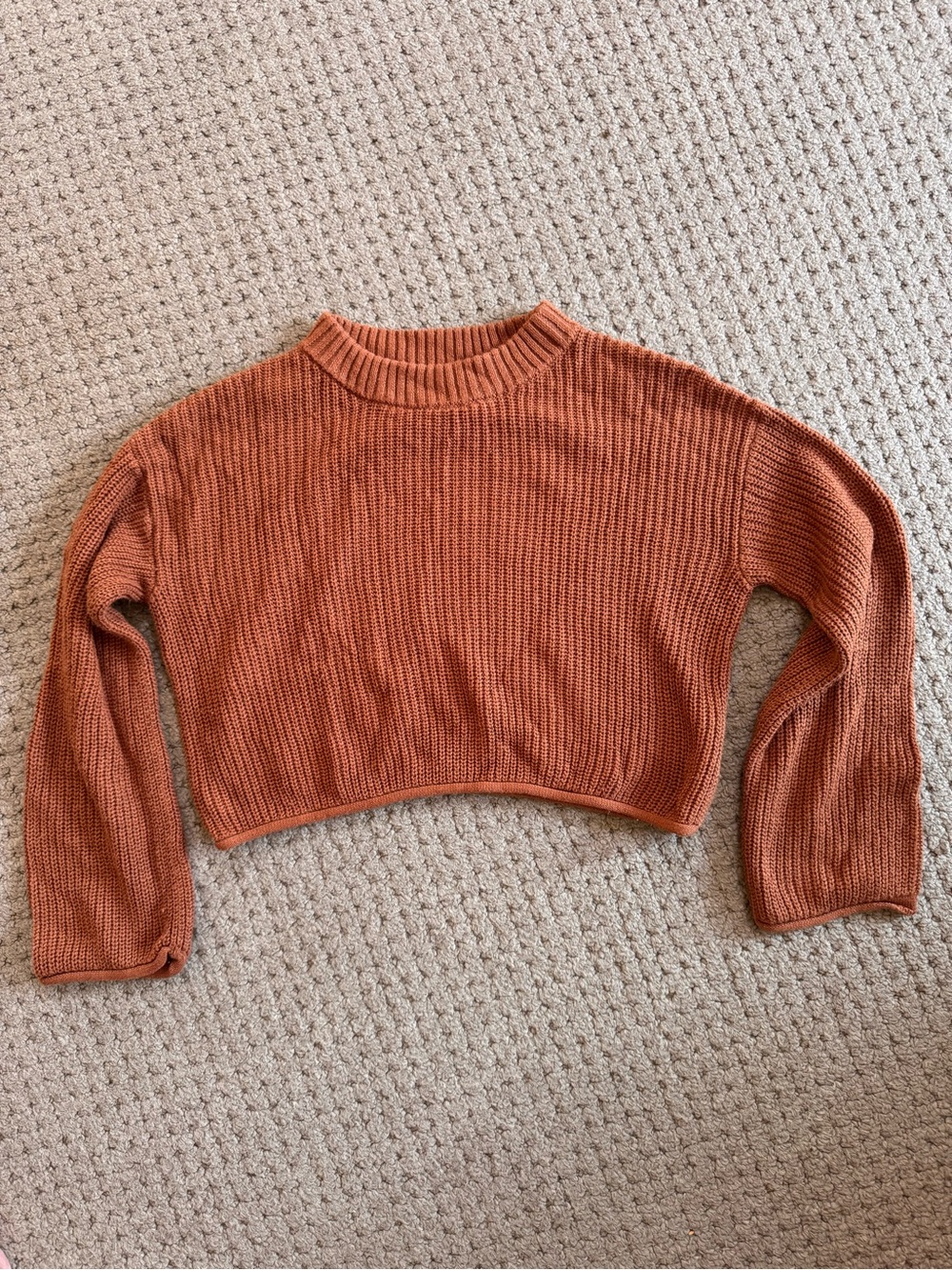 wild fable Rust Cropped Knit Sweater Top